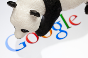 パンダとGoogle