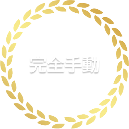完全手動型