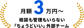 月額3万円～ 相談も管理もいらない「ちょうどいい」外部チーム